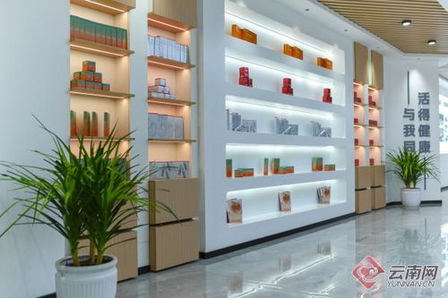 解锁资源经济发展新密码 云南屏边县引进发展天然虾青素大健康产业