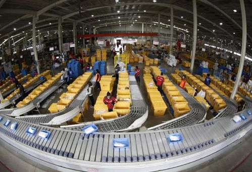 用 服务 说话,维佳仓储用服务开启自己的探索之路