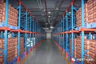 沈培平 普洱茶发展的四个历史阶段