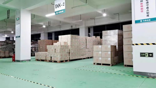 徐汇区上海电商仓储专业团队在线服务 助力企业高效物流管理